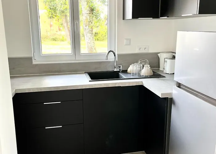 Marwine Gujan-Mestras